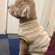 ヒメ日記 2026/03/15 23:12 投稿 琴音 さら えちごやSS商事