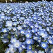 ヒメ日記 2026/04/18 12:42 投稿 琴音 さら えちごやSS商事
