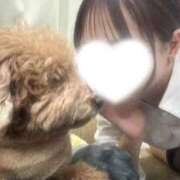 ヒメ日記 2026/05/06 20:32 投稿 琴音 さら えちごやSS商事