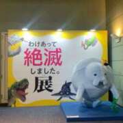 ヒメ日記 2026/05/14 15:12 投稿 琴音 さら えちごやSS商事