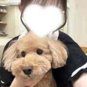 ヒメ日記 2026/05/15 12:52 投稿 琴音 さら えちごやSS商事