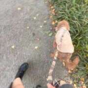 ヒメ日記 2025/12/23 17:02 投稿 潮蜜夜　ゆの えちごやMM商事