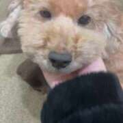 ヒメ日記 2026/01/14 23:22 投稿 潮蜜夜　ゆの えちごやSS商事