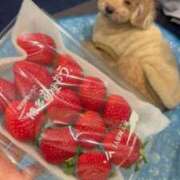 ヒメ日記 2026/01/19 18:12 投稿 潮蜜夜　ゆの えちごやSS商事