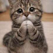 ヒメ日記 2026/01/23 14:12 投稿 潮蜜夜　ゆの えちごやSS商事