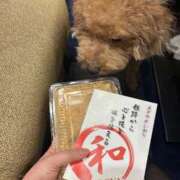 ヒメ日記 2026/01/26 00:06 投稿 潮蜜夜　ゆの えちごやSS商事