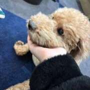 ヒメ日記 2026/01/27 22:41 投稿 潮蜜夜　ゆの えちごやSS商事