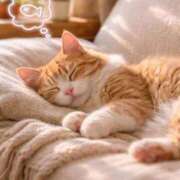 ヒメ日記 2026/01/28 15:52 投稿 潮蜜夜　ゆの えちごやSS商事