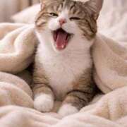 ヒメ日記 2026/02/02 16:55 投稿 潮蜜夜　ゆの えちごやSS商事