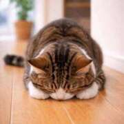 ヒメ日記 2026/02/03 17:32 投稿 潮蜜夜　ゆの えちごやSS商事