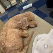 ヒメ日記 2026/02/05 20:12 投稿 潮蜜夜　ゆの えちごやSS商事