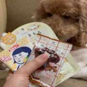 ヒメ日記 2026/02/06 17:22 投稿 潮蜜夜　ゆの えちごやSS商事