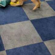 ヒメ日記 2026/02/06 23:52 投稿 潮蜜夜　ゆの えちごやSS商事