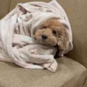 ヒメ日記 2026/02/08 20:52 投稿 潮蜜夜　ゆの えちごやSS商事