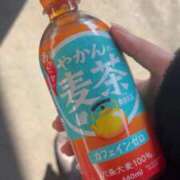 ヒメ日記 2026/02/18 18:42 投稿 潮蜜夜　ゆの えちごやSS商事