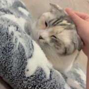 ヒメ日記 2026/02/18 20:32 投稿 潮蜜夜　ゆの えちごやSS商事