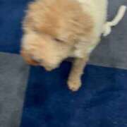 ヒメ日記 2026/02/20 21:48 投稿 潮蜜夜　ゆの えちごやSS商事