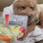 ヒメ日記 2026/03/01 21:51 投稿 潮蜜夜　ゆの えちごやSS商事