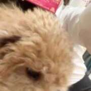 ヒメ日記 2026/03/09 00:02 投稿 潮蜜夜　ゆの えちごやSS商事