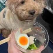 ヒメ日記 2026/03/20 23:12 投稿 潮蜜夜　ゆの えちごやSS商事