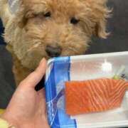 ヒメ日記 2026/03/23 21:12 投稿 潮蜜夜　ゆの えちごやSS商事