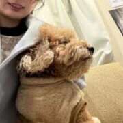 ヒメ日記 2025/12/31 22:32 投稿 蜂蜜　れもん えちごやSS商事