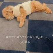 ヒメ日記 2026/01/02 23:52 投稿 蜂蜜　れもん えちごやSS商事