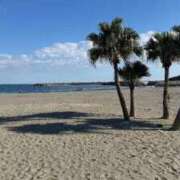 ヒメ日記 2026/03/22 22:32 投稿 蜂蜜　れもん えちごやSS商事