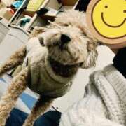 ヒメ日記 2026/03/11 15:32 投稿 森口 果依 えちごやSS商事