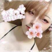 ヒメ日記 2026/03/23 22:17 投稿 えりか 丸妻 新横浜店