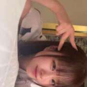 ヒメ日記 2026/03/15 03:39 投稿 かえ 五反田サンキュー