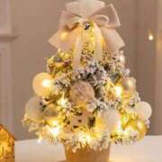 ヒメ日記 2025/12/23 11:58 投稿 のりか 川越おかあさん