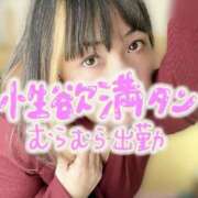 ヒメ日記 2026/01/17 12:14 投稿 逆夜這い痴女・宮沢るみ Eternity～若妻の悪戯～（エタニティー）