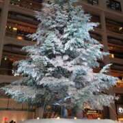 ヒメ日記 2025/12/22 00:09 投稿 岡部 みさと こあくまな熟女たち 千葉店（KOAKUMAグループ）