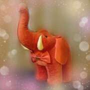 ヒメ日記 2026/02/28 19:44 投稿 岡部 みさと こあくまな熟女たち 千葉店（KOAKUMAグループ）