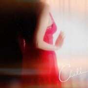 ヒメ日記 2026/03/04 07:40 投稿 岡部 みさと こあくまな熟女たち 千葉店（KOAKUMAグループ）