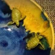 ヒメ日記 2026/03/06 12:01 投稿 岡部 みさと こあくまな熟女たち 千葉店（KOAKUMAグループ）