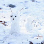 ヒメ日記 2026/02/13 22:09 投稿 さら もんぜつちじょ本店