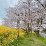 ヒメ日記 2026/03/16 11:09 投稿 さら もんぜつちじょ本店