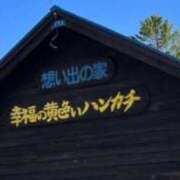 まこ 幸福の黄色いハンカチ 完熟ばなな札幌・すすきの