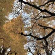 ヒメ日記 2025/12/24 08:01 投稿 ニノ アリスマリオン