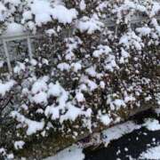 ヒメ日記 2026/02/08 10:01 投稿 リン アリスマリオン