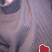 ヒメ日記 2026/02/03 17:11 投稿 こうめ スピードエコ京橋店