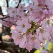 ヒメ日記 2026/04/04 22:03 投稿 なぎさ 熟女の風俗最終章 新潟店