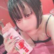 ヒメ日記 2026/03/14 08:23 投稿 ミル ドMなバニーちゃん水戸店