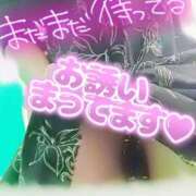 ヒメ日記 2026/02/05 15:26 投稿 ひすい 埼玉熊谷ちゃんこ