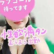 ヒメ日記 2026/02/11 10:16 投稿 ひすい 埼玉熊谷ちゃんこ