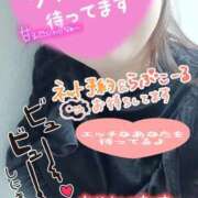 ヒメ日記 2026/02/12 14:16 投稿 ひすい 埼玉熊谷ちゃんこ