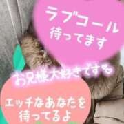 ヒメ日記 2026/02/24 17:26 投稿 ひすい 埼玉熊谷ちゃんこ