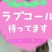 ヒメ日記 2026/02/25 20:56 投稿 ひすい 埼玉熊谷ちゃんこ